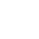 Icon Web